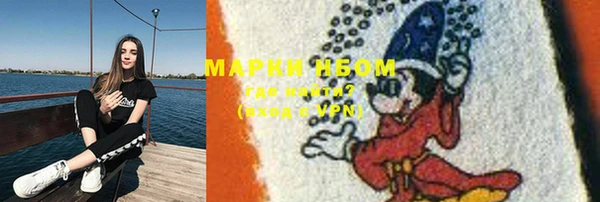 бошки Каменка