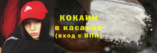 шишки Каменногорск