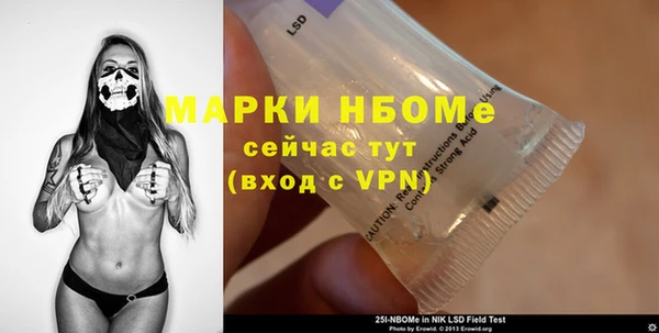шишки Каменногорск