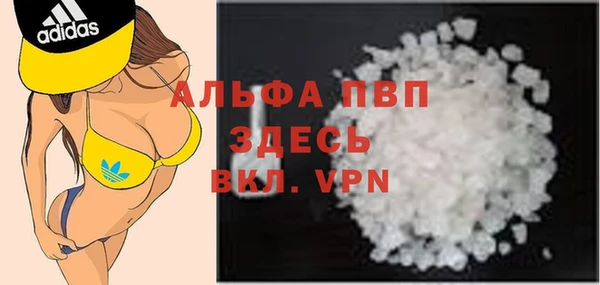 шишки Каменногорск