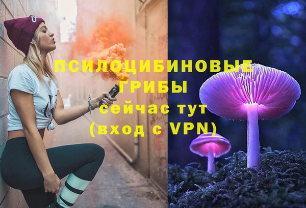 шишки Каменногорск