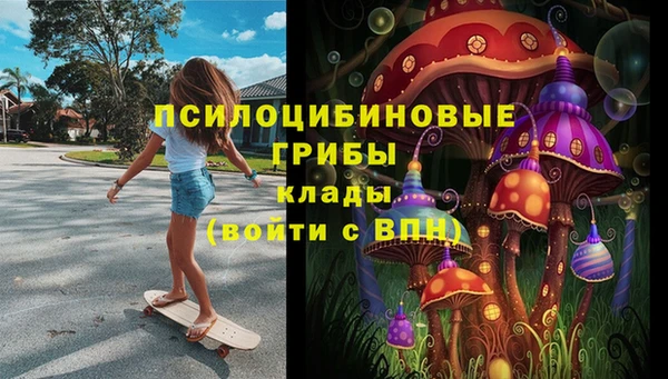 шишки Каменногорск