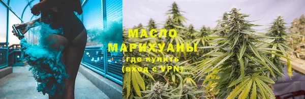 шишки Каменногорск