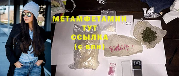 шишки Каменногорск